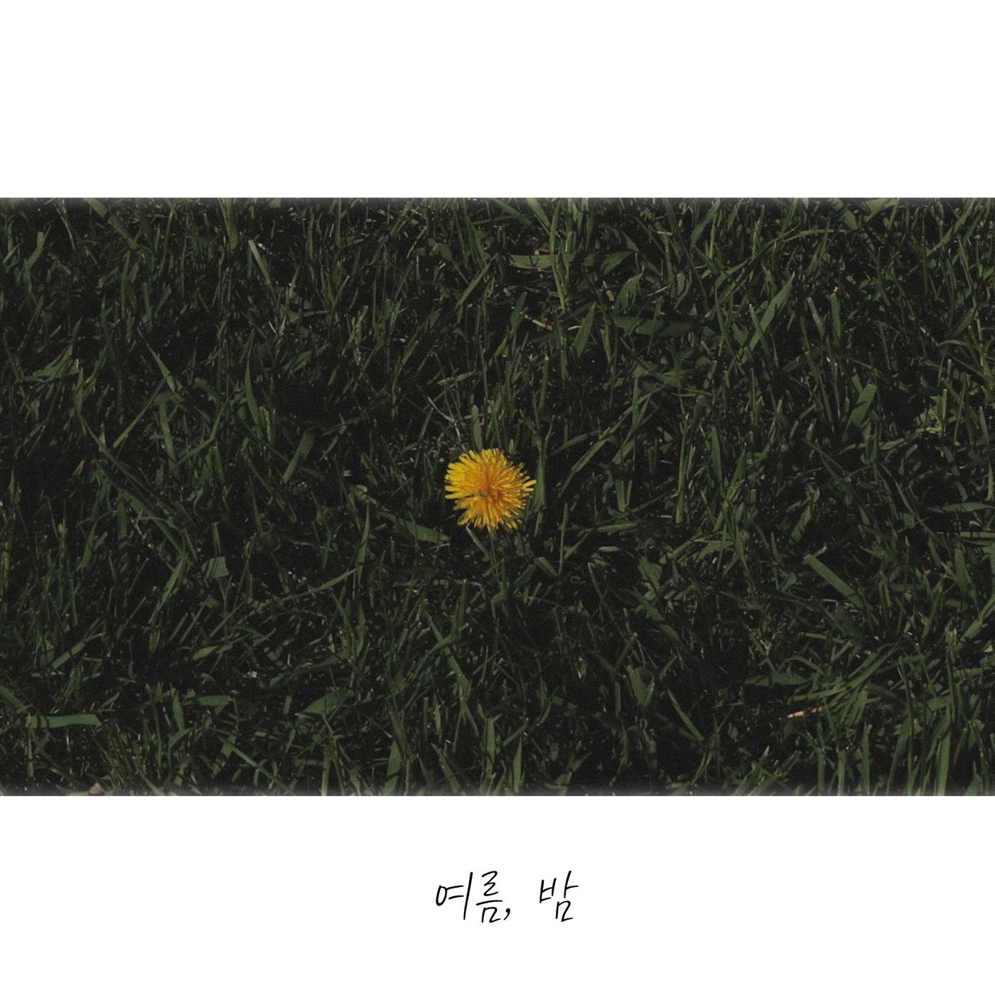 Image Cover